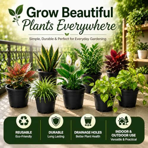 Image of Indian Gardens - 4 inch Indoor (Pack of 10) Plastic Small Colour pots | Plastic Plant Pot for Terrace Garden (Black)