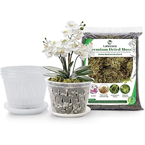 lanccona 8 Inch 4 Pack Orchid Pots Set and 3 QT Sphagnum Moss for Planting All Types of Orchids Cover