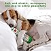 vsshe Bierflaschen-Plüschtiere, 1 Packung Haustier Plüsch Quietschendes Hundespielzeug, Champagnerform Hund Quietschendes Kauspielzeug, Interaktives Sicheres Puppenspiel, Hunde Geburtstagsspielzeug