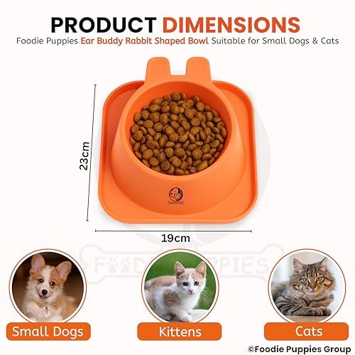 Image of Foodie Puppies Pet Feeding Tilted Cat Bowl - (Ear Buddy Rabbit Shape) | Durable, Anti Vomiting, Healthy Cat Feeder for Persian Cat Prevent Tipping Over | Bowl for Cats, Kittens & Puppies