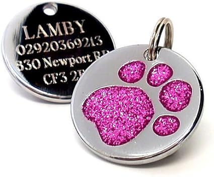 engraved pet id
