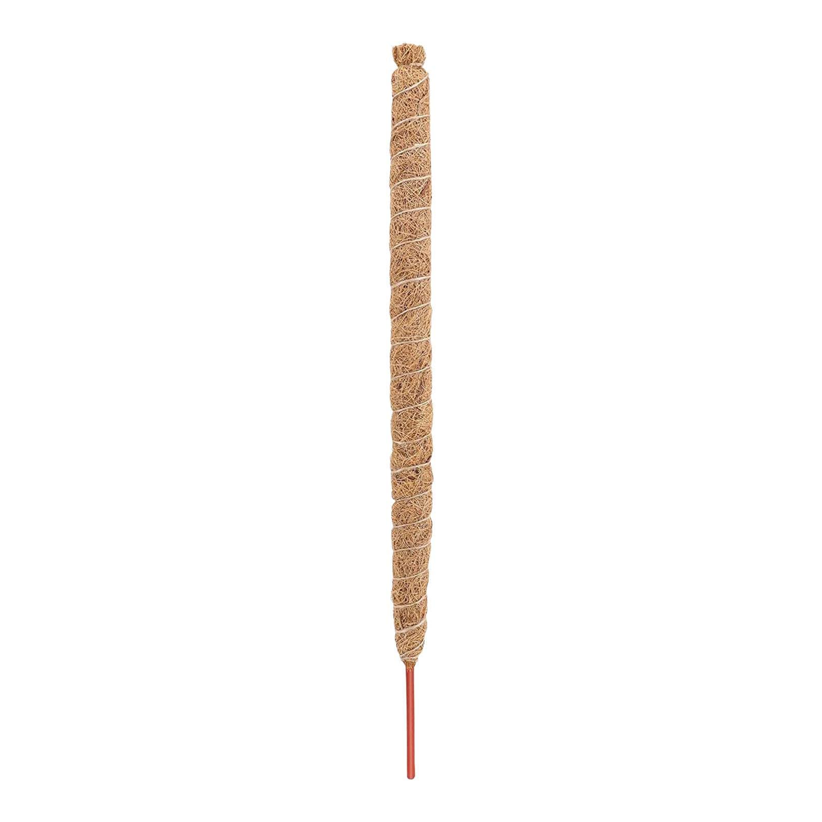 Yusheng Length 100Cm Moss For Plants | Moss Monstera Supporting Poles For Plants | Plant Stakes For Monstera, Moss Poles For Indoors Potted Plants, Climbing Plants