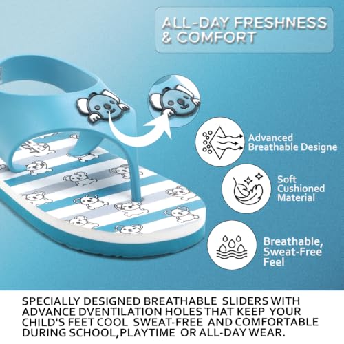 Image of Duosoft Kids Flip Flop Sandals with Bear Motif, Slippers for Baby Girl and Baby Boy, Indoor and Outdoor Slipper for Kids with Strap (K-401)