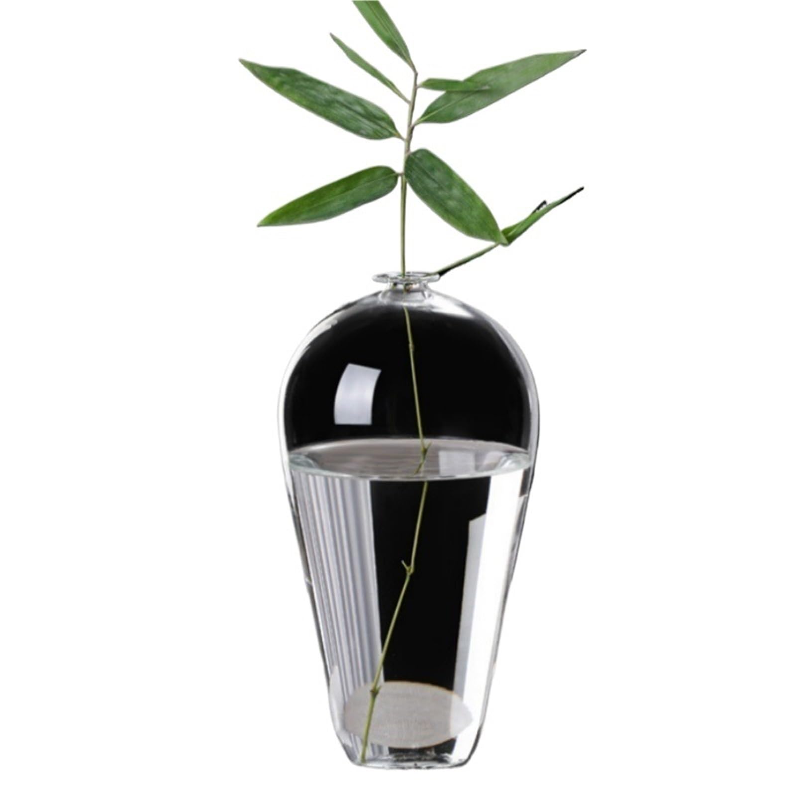 QuxetlRyz Glass Hydroponic Vase Elegant Clear Glass Vase Flower Vases Hydroponic Plant Terrarium DIY Arrangements Wedding Home Table Decor(Size 3)