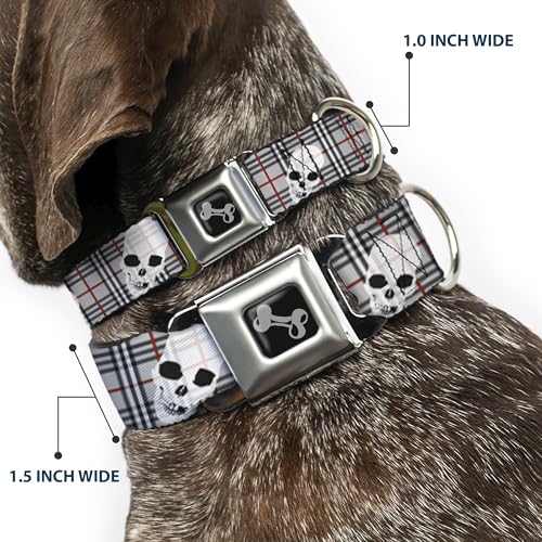 Collier de chien ceinture de sécurité Buckle Down Dc-w32051-ws petit format plaid gris et crânes