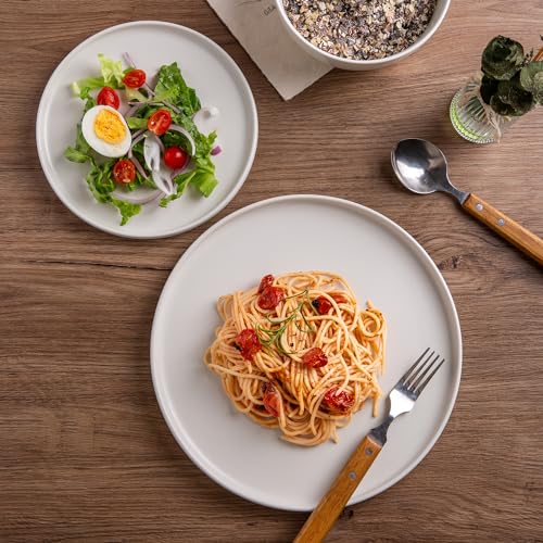 Amorarc ASP502 Ceramic Dinner Salad Plates Set Of 4 thumb #3