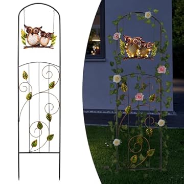Garden Trellis with Lights: Transform Your Outdoor Space with These Picks 1 garden trellis with lights