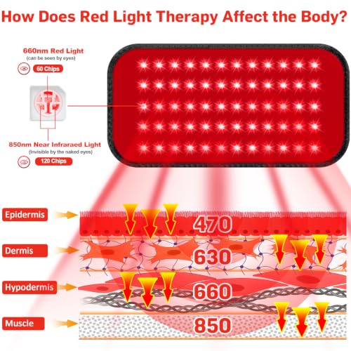 Image of Red Light Therapy for Body, 660nm 850nm Infrared Light Therapy Pad, Wearable Wrap with Timer Remote Control for Back Shoulder Waist Knee, Infrared Light Device Home Use, 12.4'' x 5.7'' Large Area