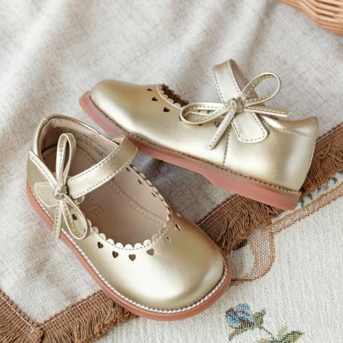 Image of GINFIVE Toddler Girls Dress Shoes Little Kids Flats School Mary Janes Shoes