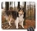 Produktbild Gaming-Mauspads, Mauspad, Sheltie Dog Forest Standing Close