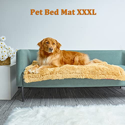 TVMALL Cuscino Cane e Gatto Reversibile Lavabile