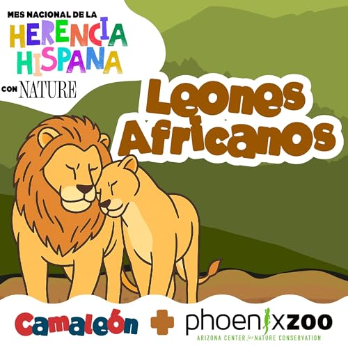 Leones africanos: poder, manada y cooperación 🦁🤝