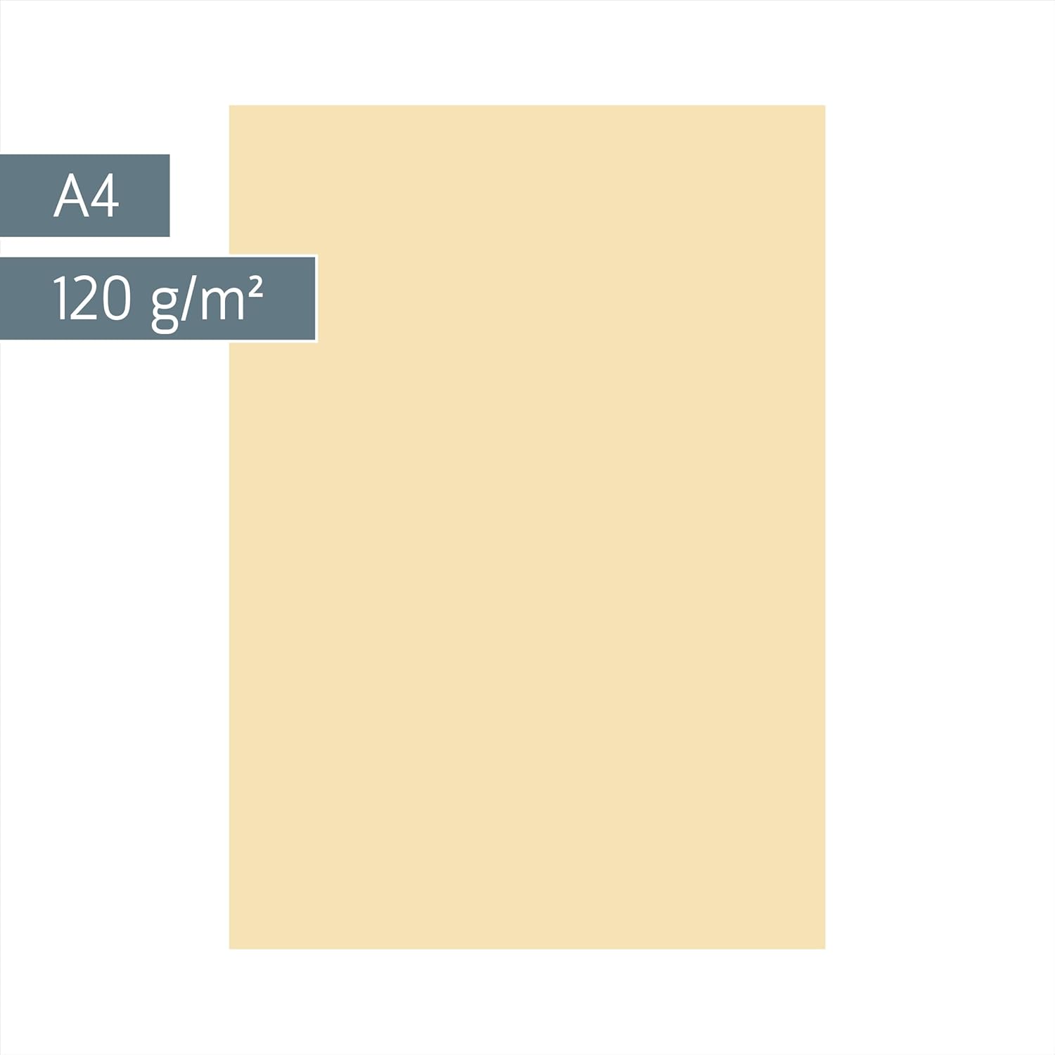 Baier Schneider &Multifunctional Universal Paper matt A4 120 g/M ² Chamois, 35 Sheets
