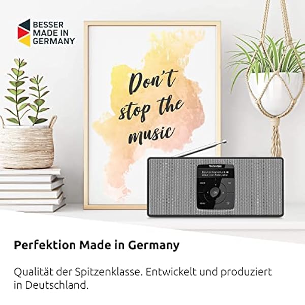 TechniSat DIGITRADIO 2 S - Radio stereo DAB portatile con batteria ricaricabile (DAB , FM, Streaming audio Bluetooth, Display OLED, Ingresso per cuffie, Stereo 2 Watt RMS), Nero/Argento