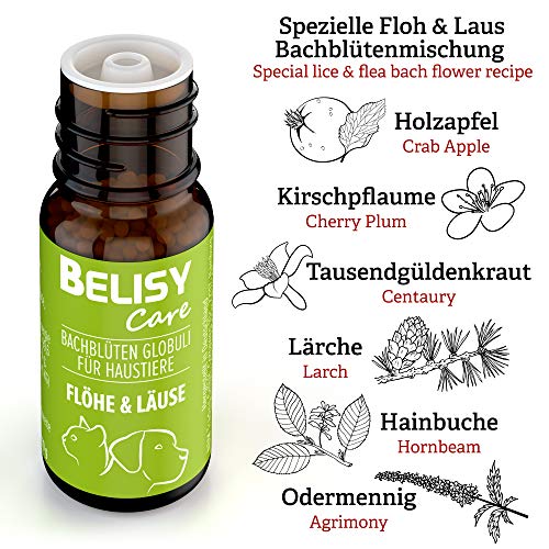 BELISY Läuse & Flöhe Bachblüten Kügelchen für Hunde & Katzen - Bei Läusen & Flöhen - Spezial Bachblütenmischung - alkoholfrei - 10 g