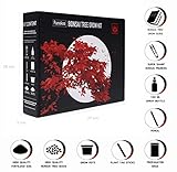 🌳 ¡Cultiva cuatro impresionantes variedades de árboles bonsai con el kit de cultivo de bonsai Panekoo! El único kit en Amazon que se ha hecho con calidad y perfección. Nuestro kit incluye todo lo que necesitará para comenzar a cultivar sus hermosos árboles bonsai. ¡Imagínese abriendo nuestro kit de cultivo hecho a la perfección! 😍
