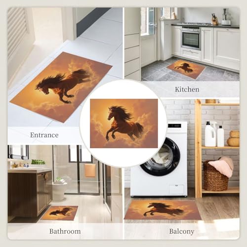 Felpudo de entrada lavable 45x75 cm: tapete antideslizante para pasillo y exterior 8