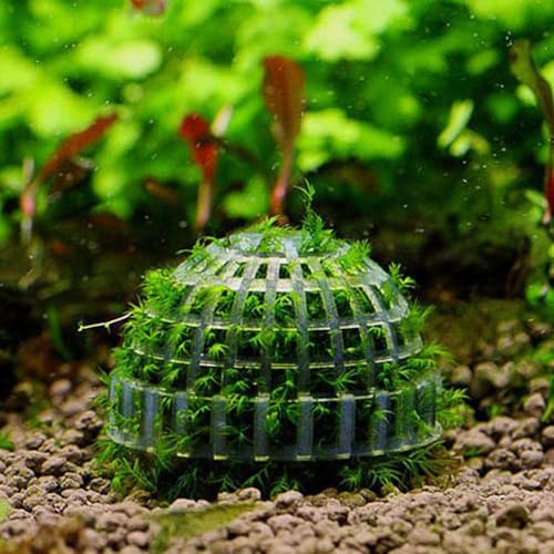 Image of WishLotus 2Pcs Transparent Plastic Aquarium Moss Ball Holder, Moss Accessory Landscape Ornaments for Fish Tank