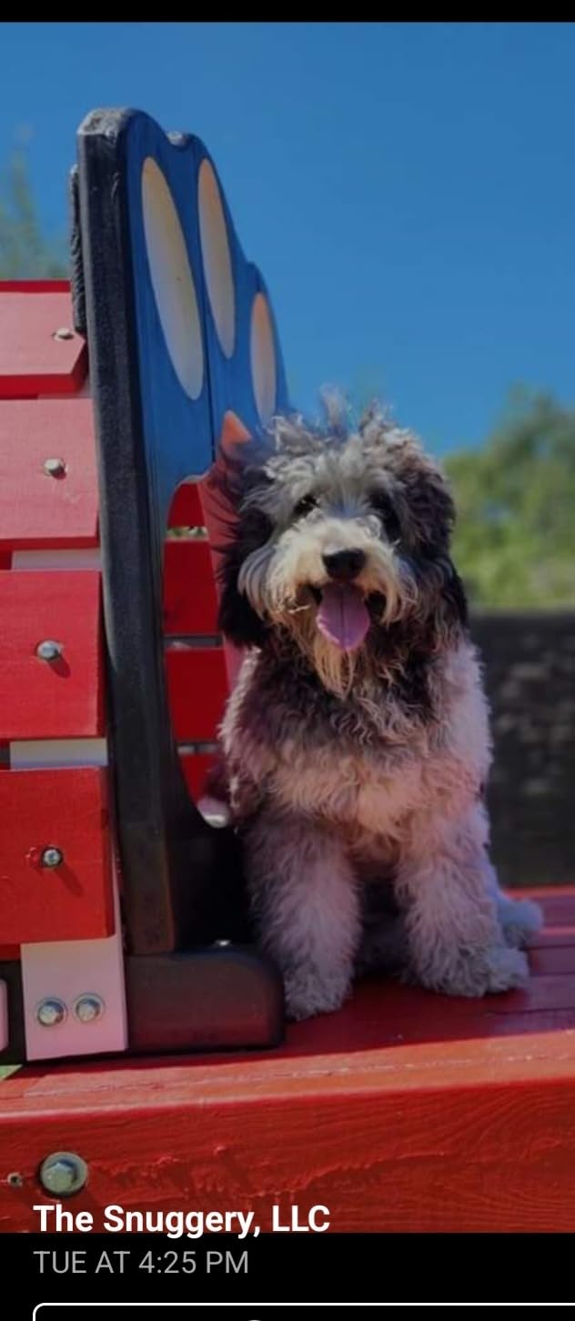 Doodle Detangler Spray