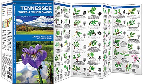 Waterford Press 9781583554180 Tennessee Trees & Wildflowers: A Folding Pocket Guide To Familiar Plants thumb #1