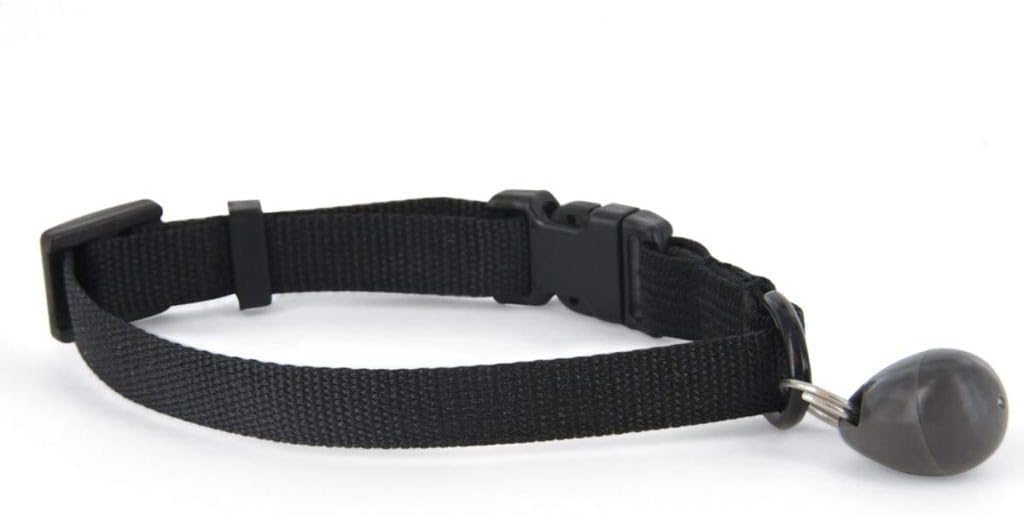 PetSafe 480ML Staywell, Controlled Entry, Magnetic Collar Key, Safe, Convenient, Secure, Microchip Alternative for Cat’s