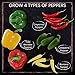 Nature's Blossom Gardening Kit - Includes 4 Types of Hot & Sweet Pepper Seeds, Planting Pots, Plant Markers - DIY Seed Starter Kit for Growing Outdoor or Indoor Garden