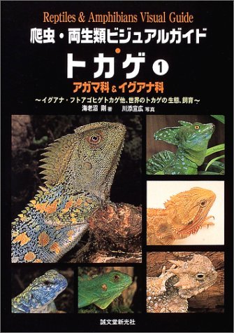 トカゲ 1 (爬虫・両生類ビジュアルガイド) | 海老沼 剛, 川添 宣広 |本