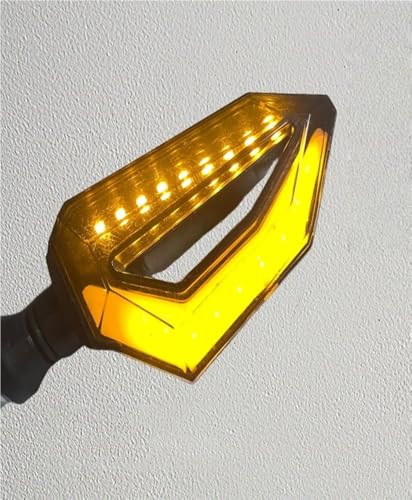 Para Motocicleta luces traseras de parada y giro de 12V azul y amarillo 4