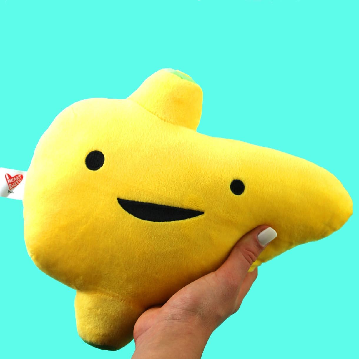 I Heart Guts Liver Plush - I’m a Liver Not a Fighter - 11” Educational Organ Stuffed Animals - Cancer Awareness Products/Anatomy Gifts, Transplant Recovery, Cirrhosis, Cancer Support - Image 2