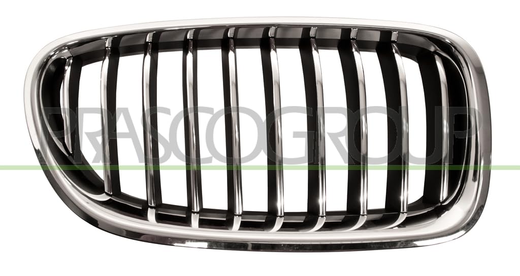 Prasco BM0502003 Griglia Anteriore Spoiler-image