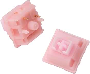 51NqamC721L._AC_UF350,