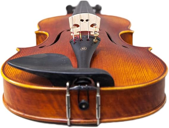 SKY High Quality Acoustic Viola Deep Warm Tone (15.5, Reddish Two-Piece Back)