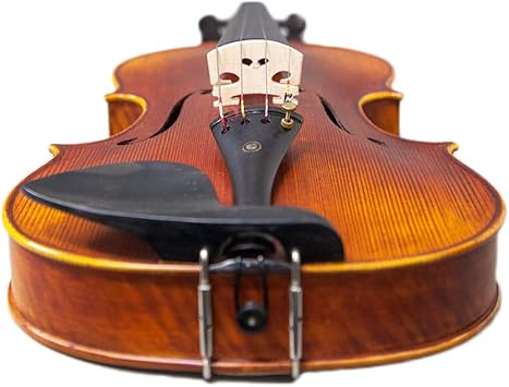 SKY High Quality Acoustic Viola Deep Warm Tone (15.5, Reddish Two-Piece Back)