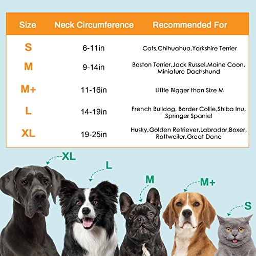 Petyoung Cono gonfiabile per cani con deflettore