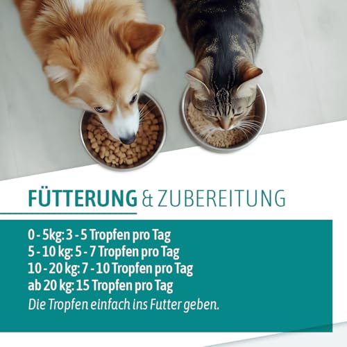 AniGo Wurmkraut PET Liquid Tropfen flüssig 50ml – für Hunde & Katzen, mit echtem Wurmkraut (Artemisia Absinthium) in rezepturbasierter Pflanzenformel, geeignet für alle Haustiere
