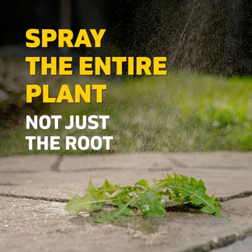 Image of Spruce Weed Killer Spray Power Wand Kit - Weed + Grass Killer₃ Reusable Weed Sprayer, Spot-Treating Kills Weeds in Lawns and Gardens, Additional 2 AA Batteries Included for Continuous Power (64 oz)