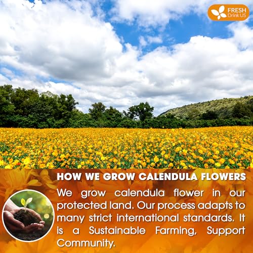 Image of FreshDrinkUS, Premium 135 Calendula Tea Bags, 100% Natural and Pure Calendula Flowers, Eco-conscious Tea Bags. Herbal Tea. No Sugar, No Caffeine, No Gluten, Vegan.