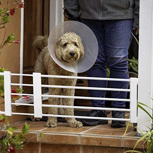Treppenschutzgitter Ohne Bohren - Hundegitter Für Türen,Einziehbares Haustiergitter Niedrige Hundeschutzgitter,Absperrgitter Treppengitter Kindergitter Für Hunde Und Katzen,Einfach Zu Installierendes