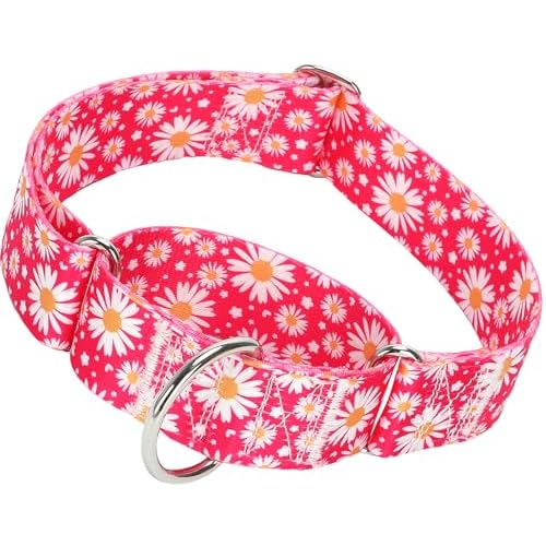Martingale Dog Collar for Large/X-Large Dogs - Heavy Duty 1.5" Military Grade Nylon Collar with Red Daisy Floral Design, No-Slip Adjustable Training Collar Durable & Stylish (XL) 3 XL Neck 2