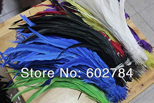 Xucus EMS Colorful Rooster Feathers 1000pcs/lot Mix 5 Color 12-14" 30-35cm Rooster Tail Feather for Party Performance