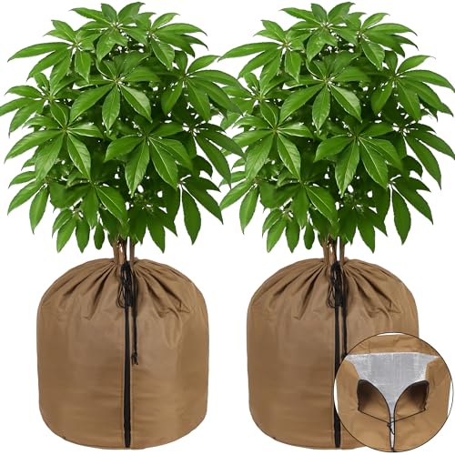 COZCLAM Lot de 2 Housses Thermiques pour Plantes en Pot 45×50 cm Protection Hivernale avec Doublure...
