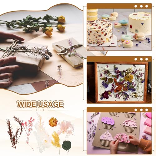 uxcell Set Natural de Flores Secas para Manualidades miniatura 6