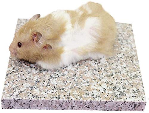 Ranimar Hamster Chinchilla Chiller Cool Granite Stone Small Animal 20x15x2cm