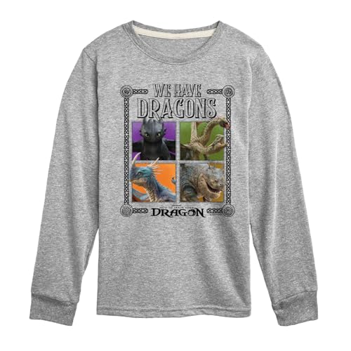 How to Train Your Dragon - We Have Dragons - Toddler and Youth Long Sleeve Tee