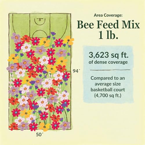 Image of Ferry-Morse Bee Feed Bulk Wildflower Seeds, 680,000+, 1 lb
