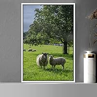 Framed Canvas Wall Art Sheep Animals Expressive Farmhouse/Country Goat Living Room Multicolor Photography - 16x24 inches