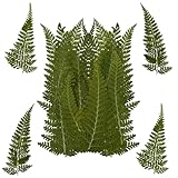 48 piezas de flores secas, arte de álbumes de recortes y decoraciones (Estilo 2)