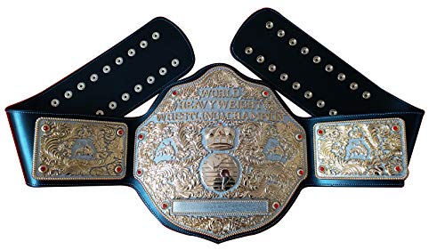 Fandu Belts Adult Nickel Gold Championship Belt Title