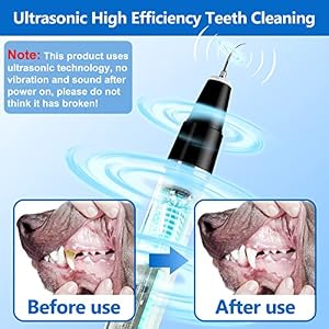 Plaque Remover for Teeth - Pet Ultrasonic Cleaner - Teeth Cleaning Kit for Tartar and Stains - Suitable for Dogs and Cats (Black) Plaque Remover for Teeth – Pet Ultrasonic Cleaner – Teeth Cleaning Kit for Tartar and Stains – Suitable for Dogs and Cats (Black)