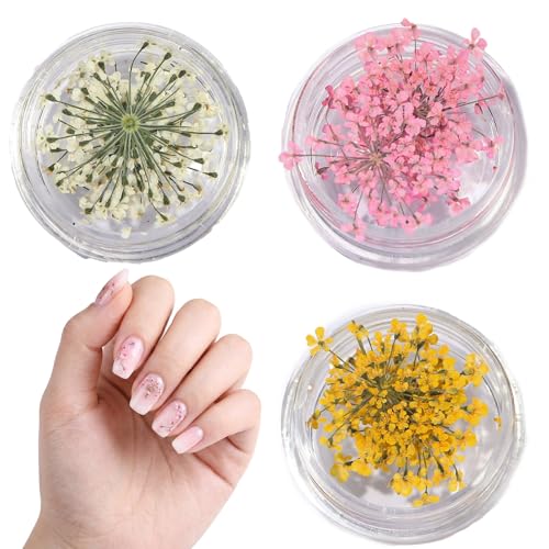 ZUWIJEQ Set de 3 Botes de Flores Secas para Decoracion Uñas   Flores Naturales para Nail Art y Manicura Profesional   Incluye Blanco, Amarillo y Rosa Claro   Kit Accesorios Decorativos Uñas DIY